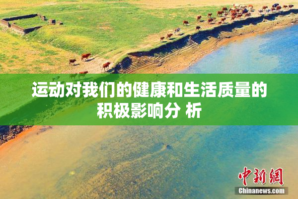 运动对我们的健康和生活质量的积极影响分 析
