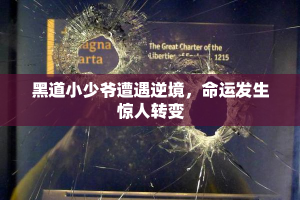 黑道小少爷遭遇逆境，命运发生惊人转变