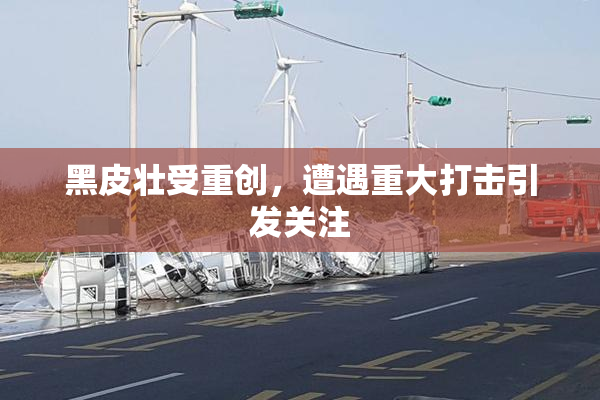 黑皮壮受重创，遭遇重大打击引发关注