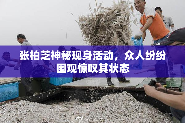 张柏芝神秘现身活动，众人纷纷围观惊叹其状态