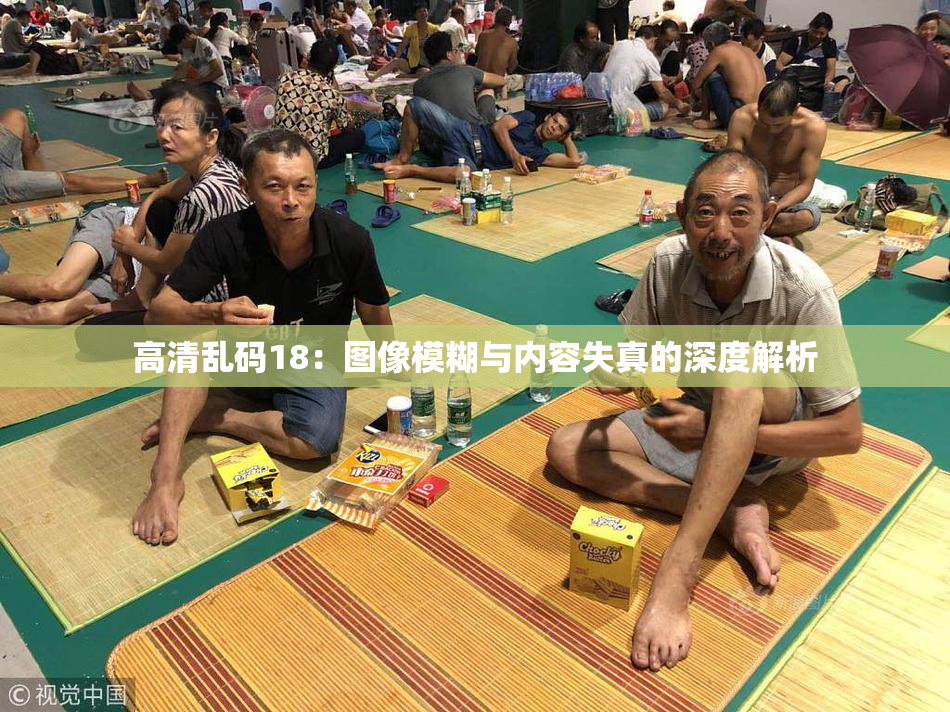 高清乱码18：图像模糊与内容失真的深度解析