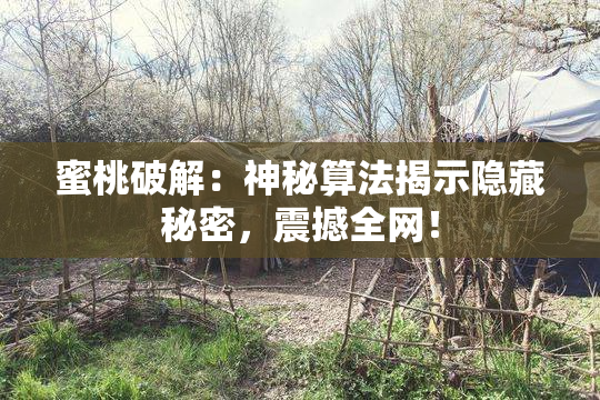 蜜桃破解：神秘算法揭示隐藏秘密，震撼全网！