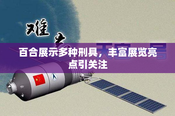 百合展示多种刑具，丰富展览亮点引关注