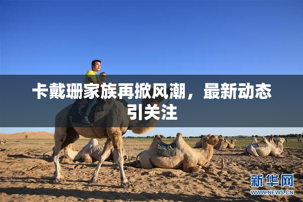 卡戴珊家族再掀风潮，最新动态引关注