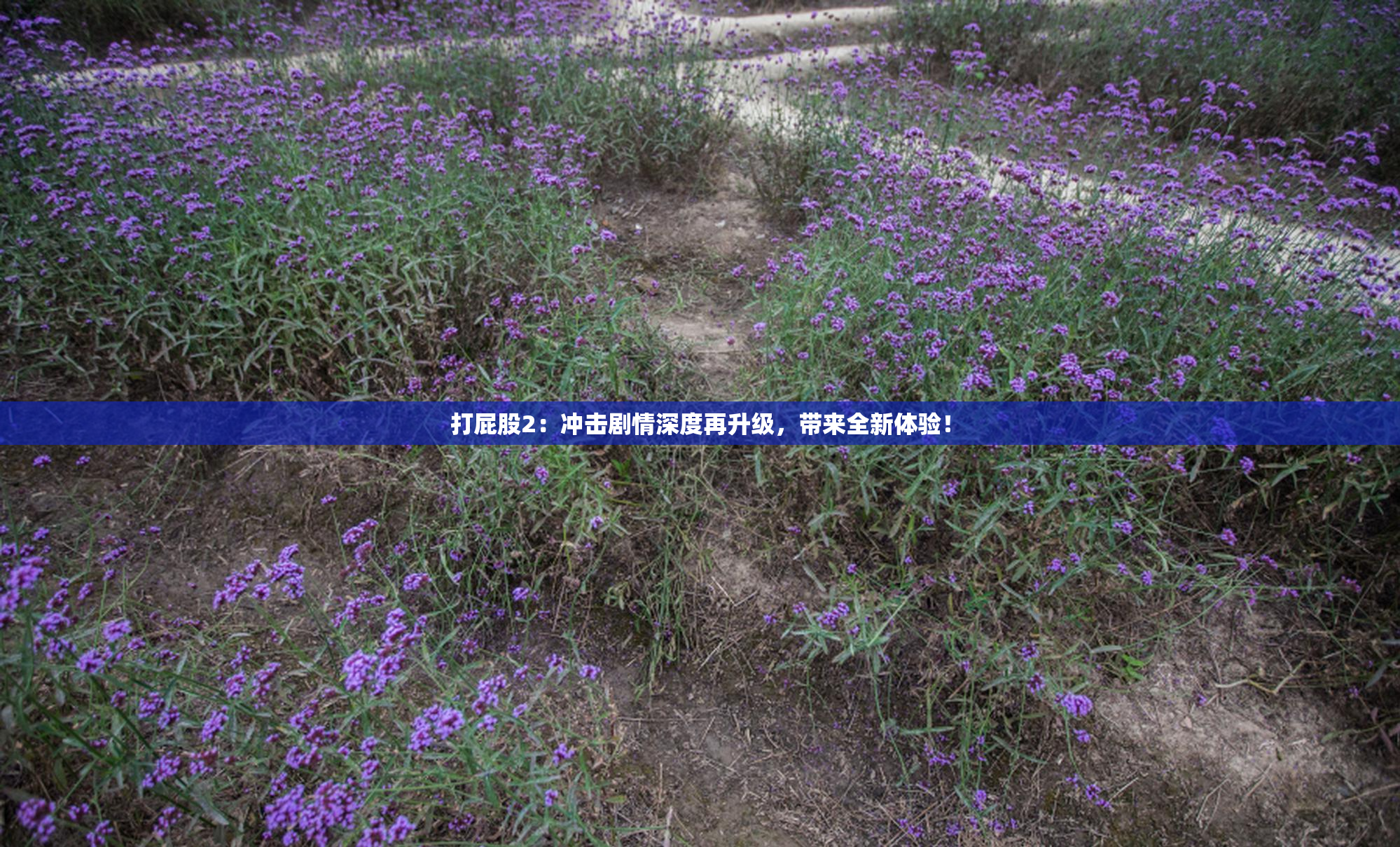 打屁股2：冲击剧情深度再升级，带来全新体验！