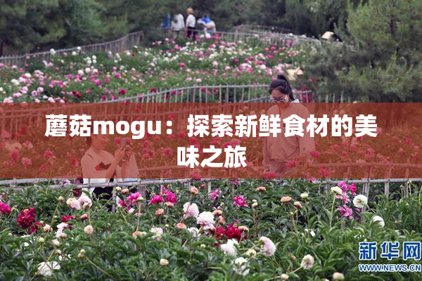 蘑菇mogu：探索新鲜食材的美味之旅