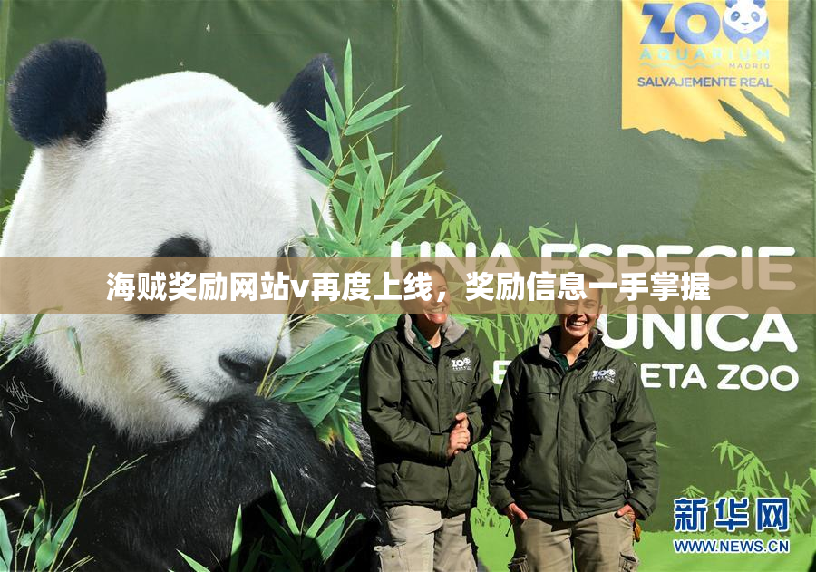 海贼奖励网站v再度上线，奖励信息一手掌握