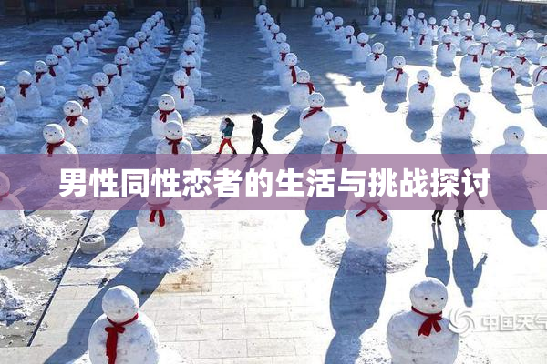 男性同性恋者的生活与挑战探讨