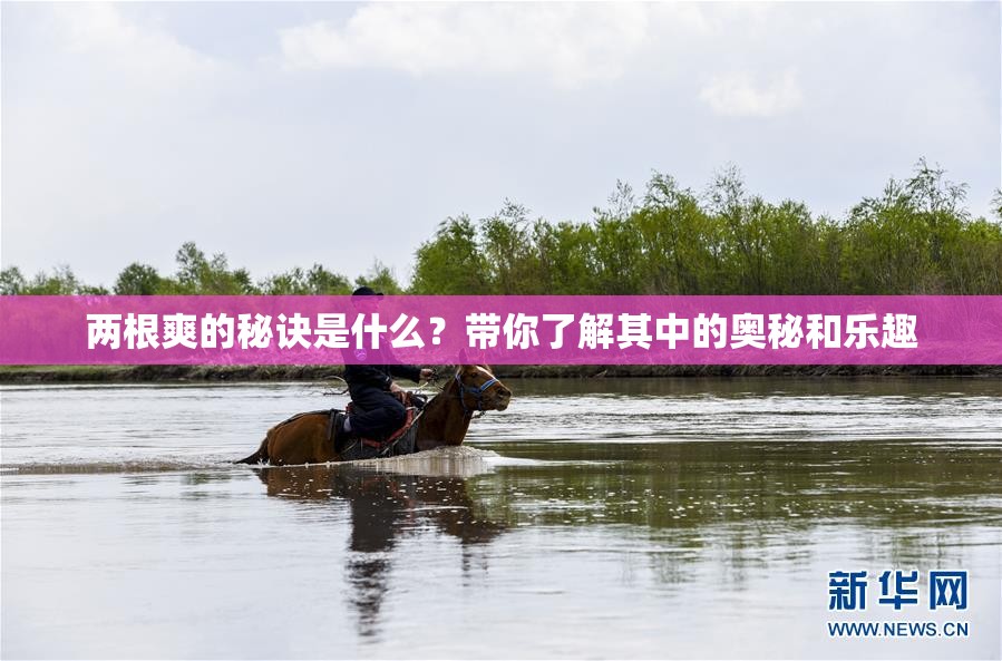 两根爽的秘诀是什么？带你了解其中的奥秘和乐趣