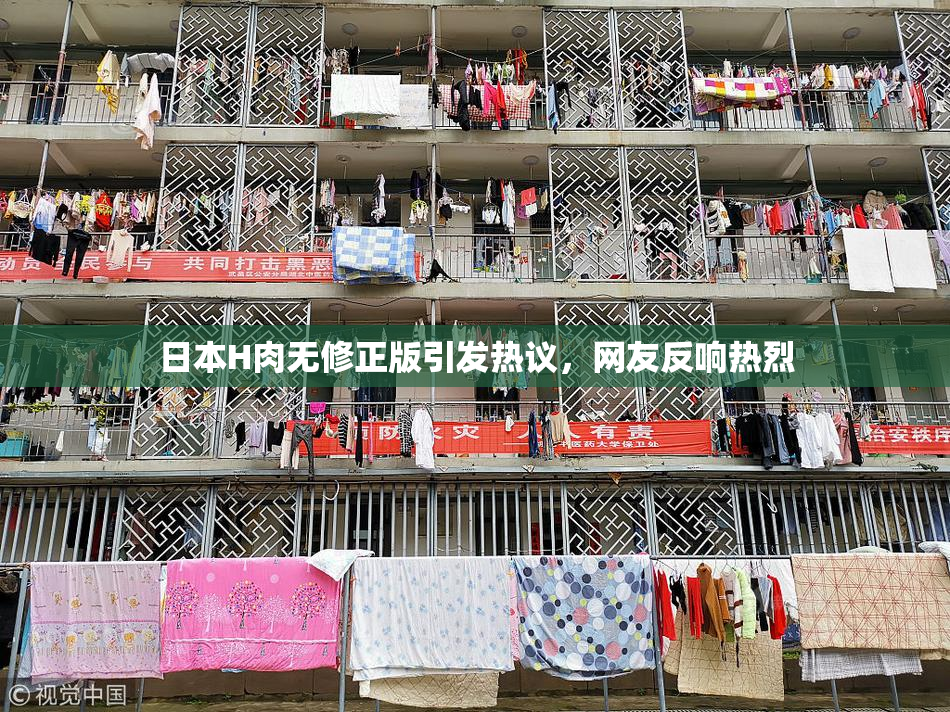 日本H肉无修正版引发热议，网友反响热烈