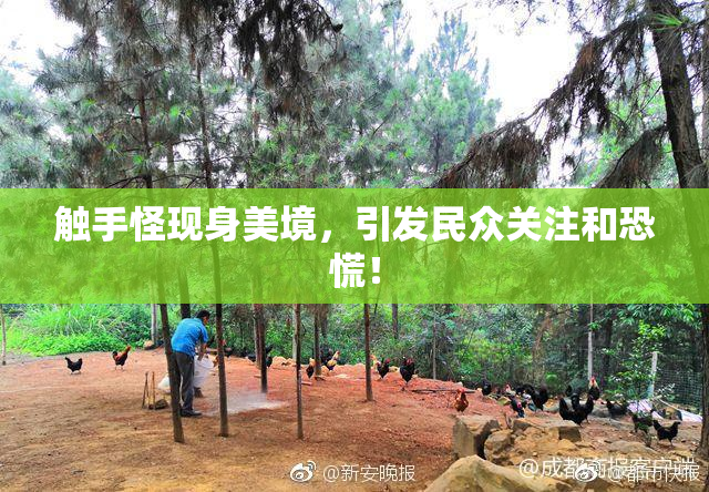 触手怪现身美境，引发民众关注和恐慌！