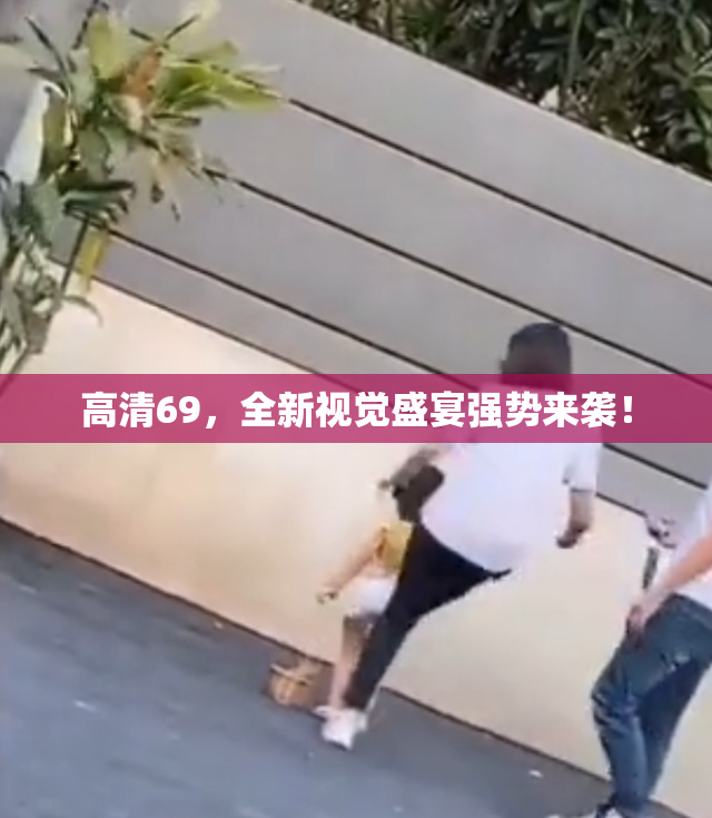 高清69，全新视觉盛宴强势来袭！