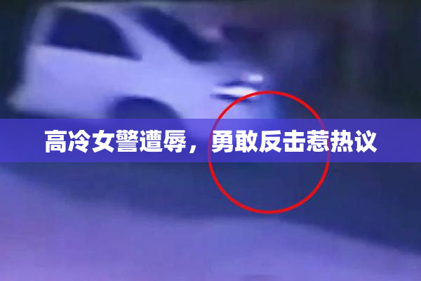 高冷女警遭辱，勇敢反击惹热议