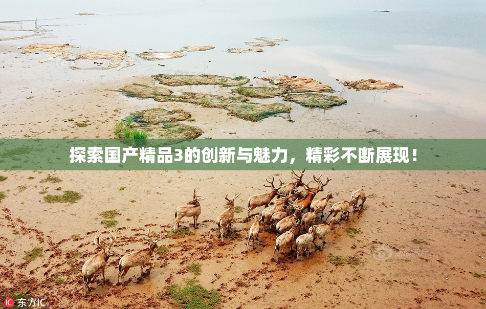 探索国产精品3的创新与魅力，精彩不断展现！