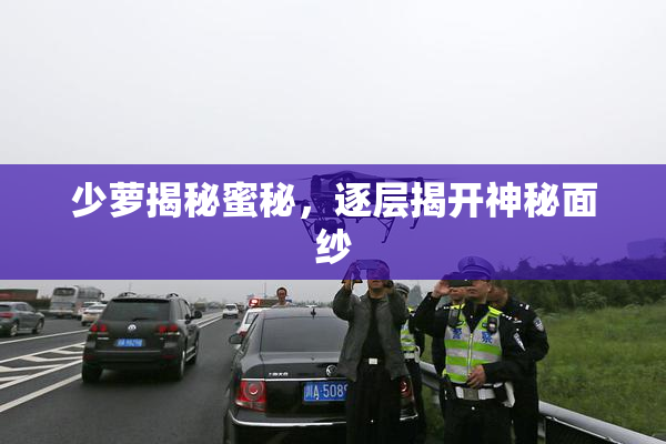 少萝揭秘蜜秘，逐层揭开神秘面纱