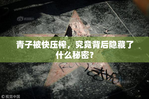 青子被快压榨，究竟背后隐藏了什么秘密？