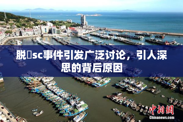 脱糞sc事件引发广泛讨论，引人深思的背后原因