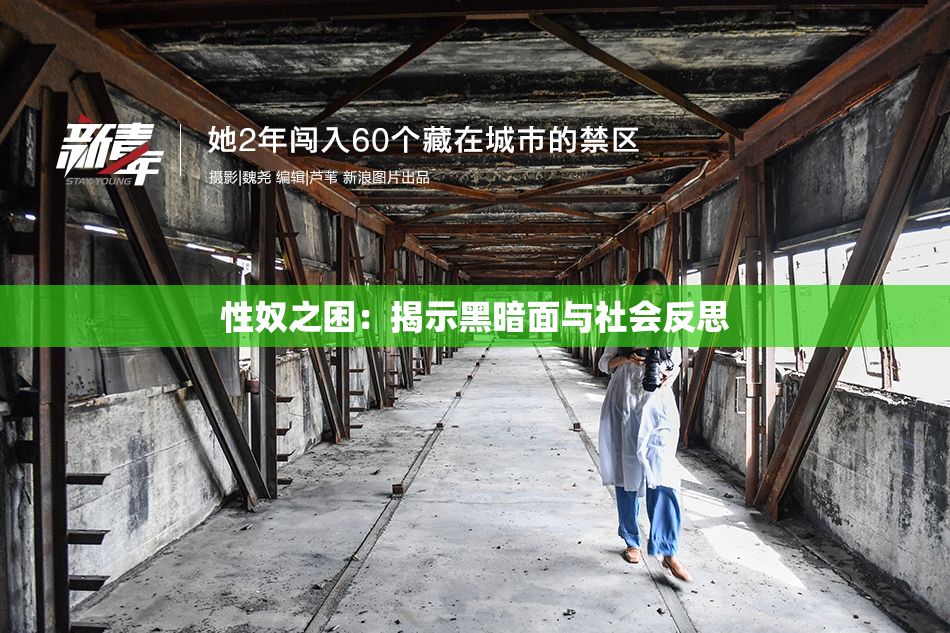 性奴之困：揭示黑暗面与社会反思