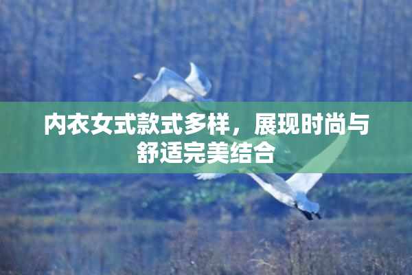 内衣女式款式多样，展现时尚与舒适完美结合