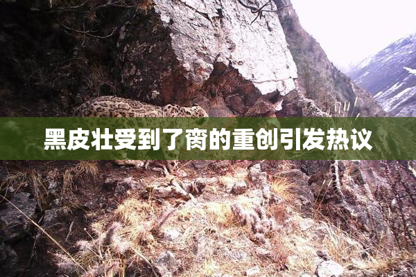 黑皮壮受到了脔的重创引发热议