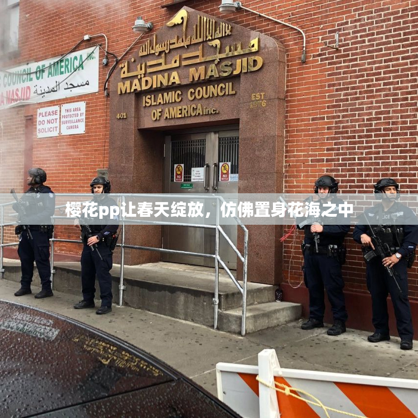 樱花pp让春天绽放，仿佛置身花海之中
