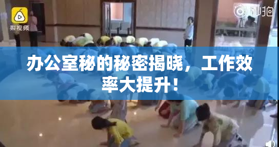 办公室秘的秘密揭晓，工作效率大提升！