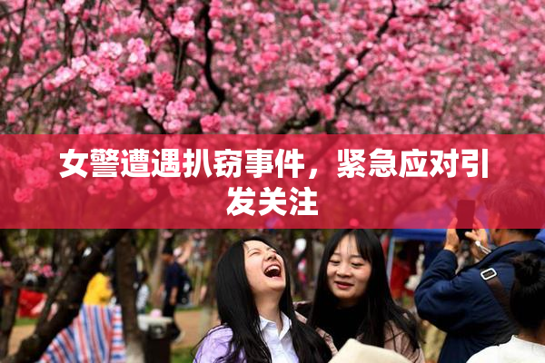 女警遭遇扒窃事件，紧急应对引发关注