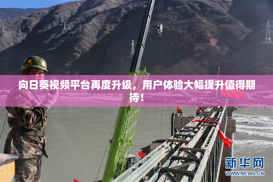 向日葵视频平台再度升级，用户体验大幅提升值得期待！