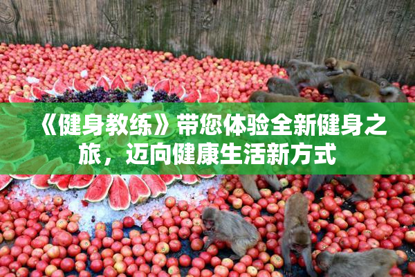 《健身教练》带您体验全新健身之旅，迈向健康生活新方式