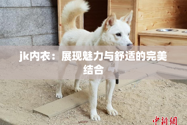 jk内衣：展现魅力与舒适的完美结合