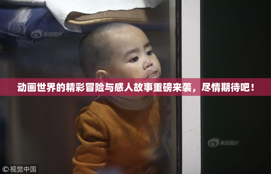 动画世界的精彩冒险与感人故事重磅来袭，尽情期待吧！