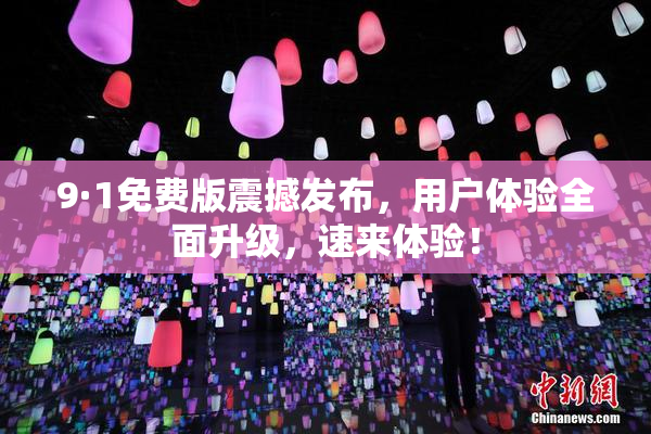 9·1免费版震撼发布，用户体验全面升级，速来体验！