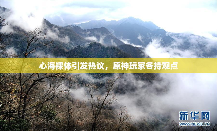 心海裸体引发热议，原神玩家各持观点