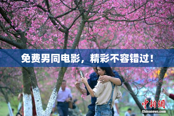 免费男同电影，精彩不容错过！