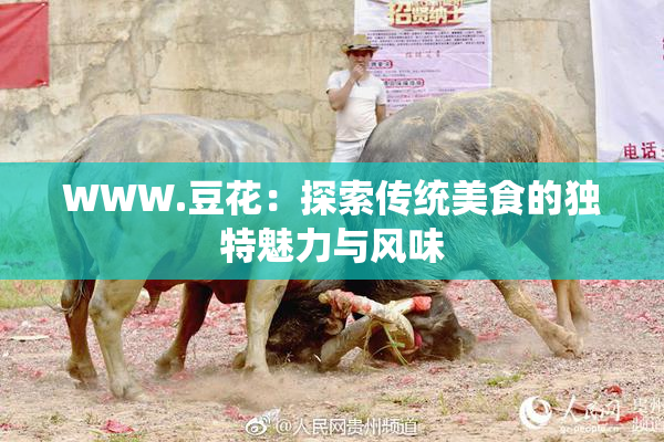 WWW.豆花：探索传统美食的独特魅力与风味