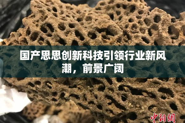 国产思思创新科技引领行业新风潮，前景广阔