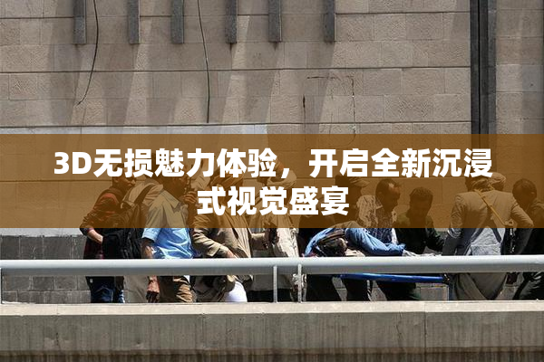 3D无损魅力体验，开启全新沉浸式视觉盛宴