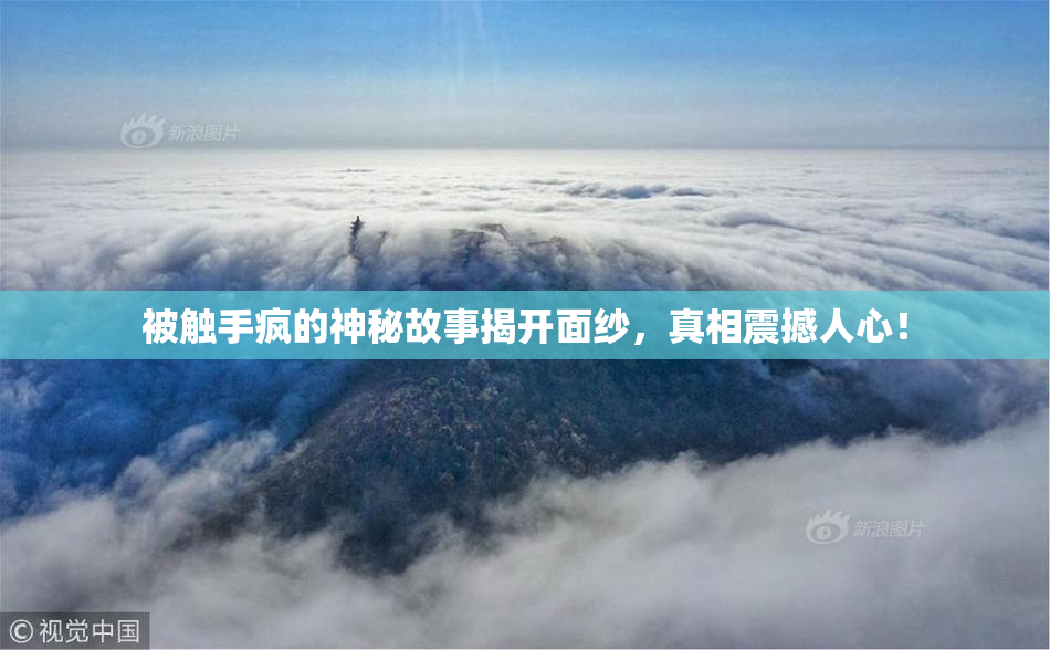 被触手疯的神秘故事揭开面纱，真相震撼人心！
