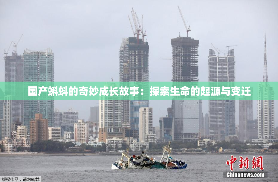 国产蝌蚪的奇妙成长故事：探索生命的起源与变迁