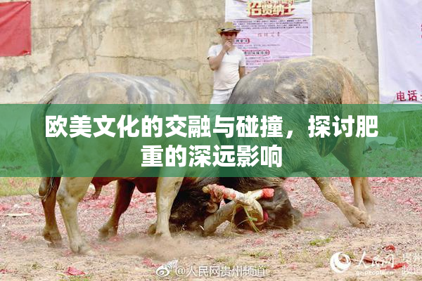 欧美文化的交融与碰撞，探讨肥重的深远影响