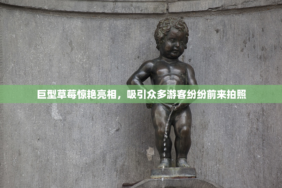 巨型草莓惊艳亮相，吸引众多游客纷纷前来拍照