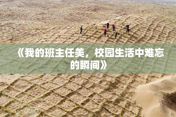 《我的班主任美，校园生活中难忘的瞬间》