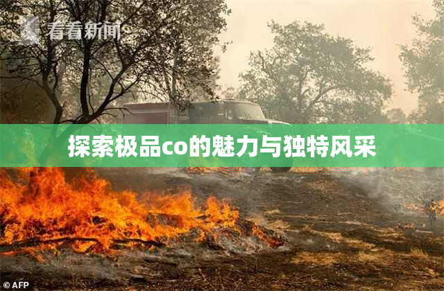 探索极品co的魅力与独特风采