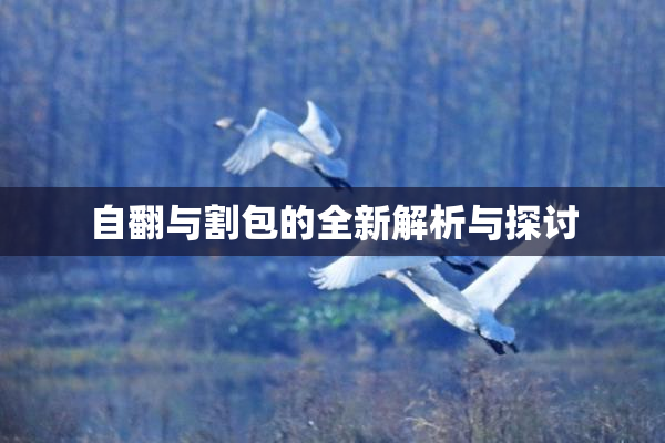 自翻与割包的全新解析与探讨
