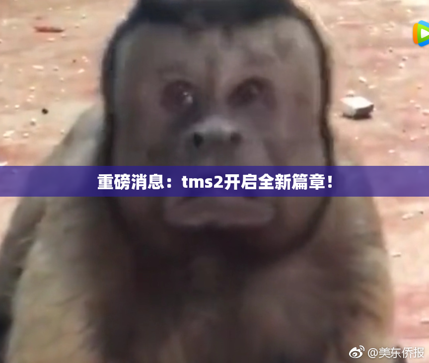 重磅消息：tms2开启全新篇章！