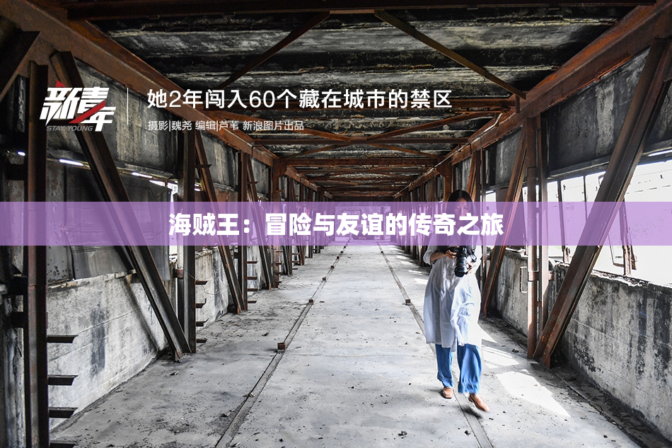 海贼王：冒险与友谊的传奇之旅