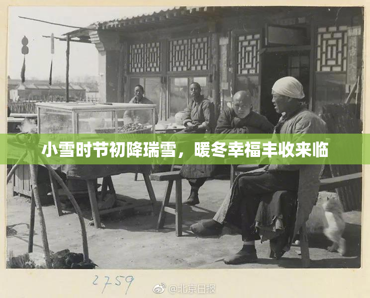 小雪时节初降瑞雪，暖冬幸福丰收来临