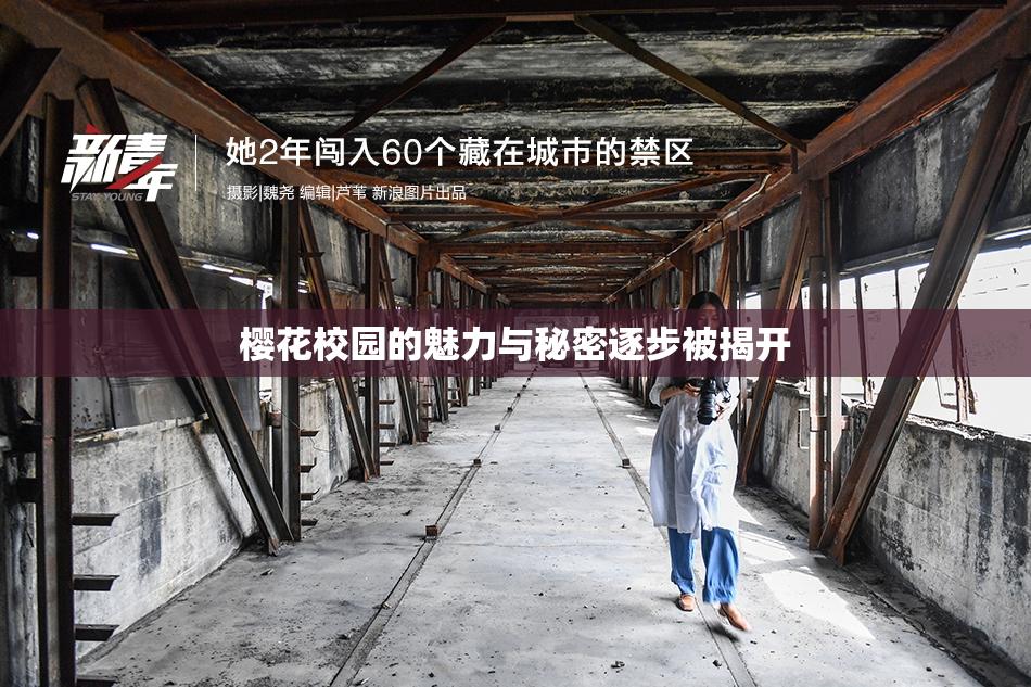樱花校园的魅力与秘密逐步被揭开