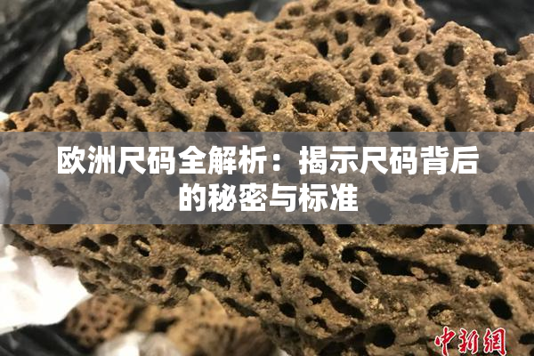 欧洲尺码全解析：揭示尺码背后的秘密与标准