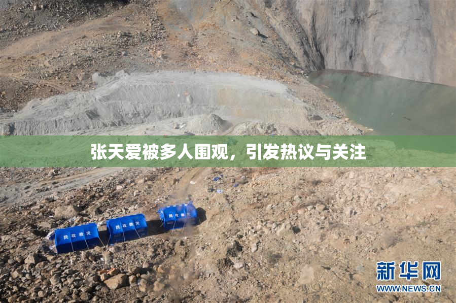 张天爱被多人围观，引发热议与关注